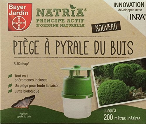 Bayer : Piège à Pyrale du Buis