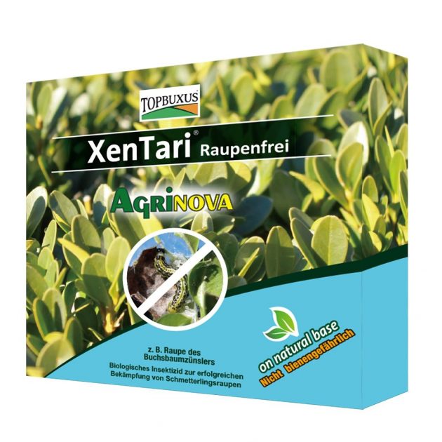 TOPBUXUS Xen Tari : efficace Contre la pyrale du buis